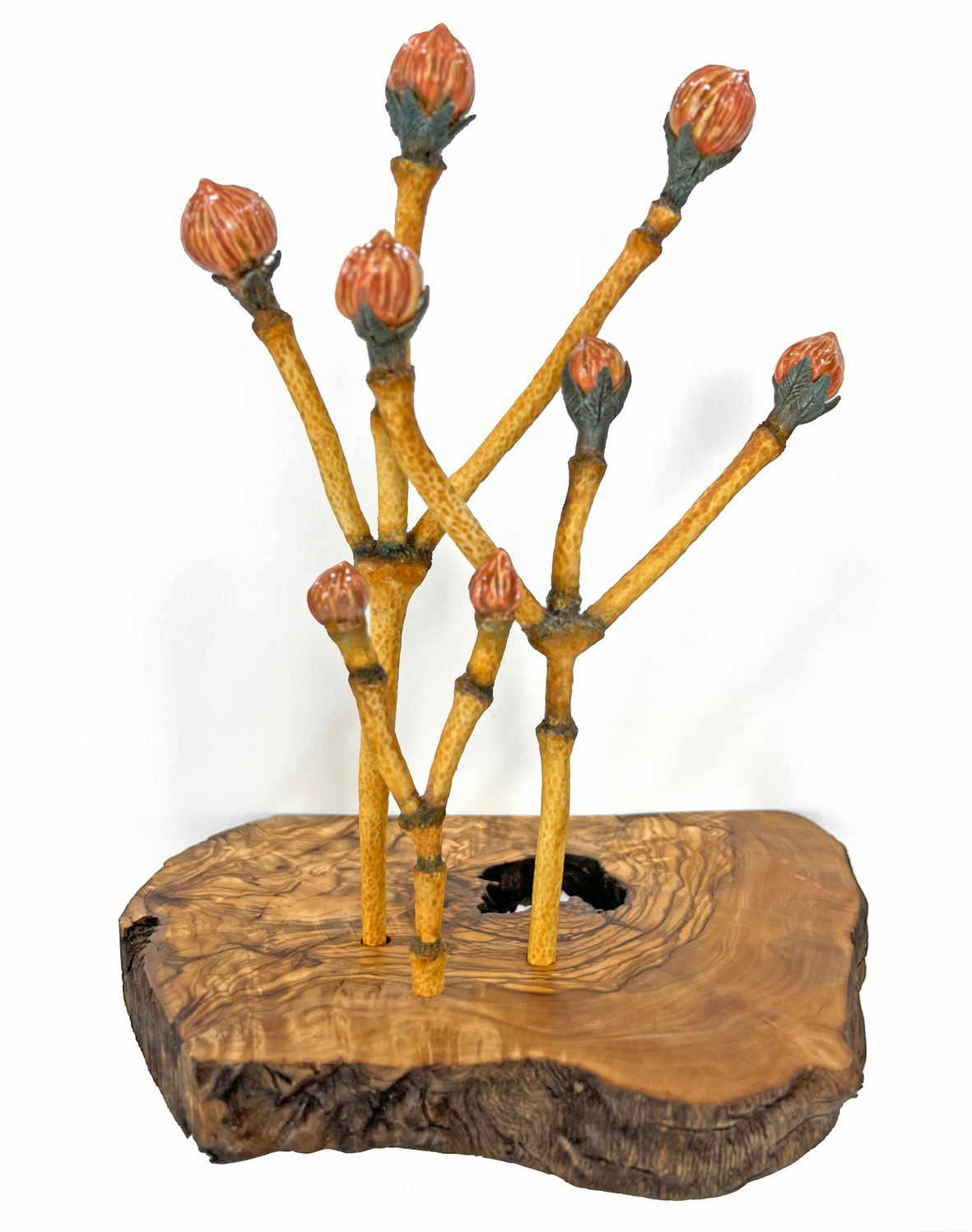 Detailed ceramic wall sculpture depicting the cellular structure of the stem of a Liana flower, as seen through a micrograph, with an emphasis on organic forms, intricate patterns and textures. 