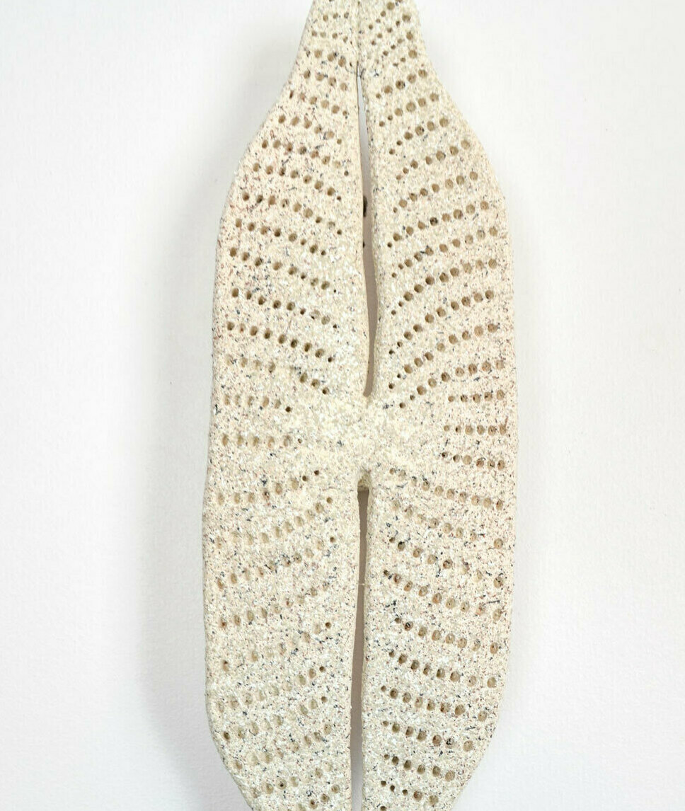 Detailed ceramic wall sculpture depicting the cellular structure of a Pennate Diatom as seen through a micrograph, with an emphasis on organic forms, intricate patterns and textures. 