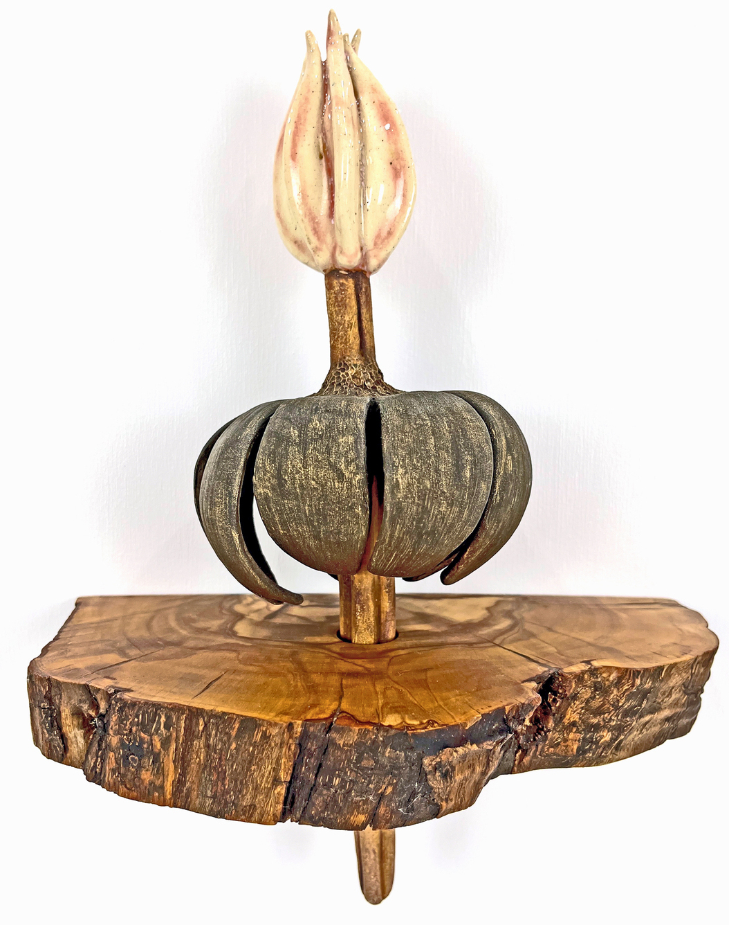 Detailed ceramic wall sculpture depicting the cellular structure of a Pine Needle as seen through a micrograph, with an emphasis on organic forms, intricate patterns and textures. 