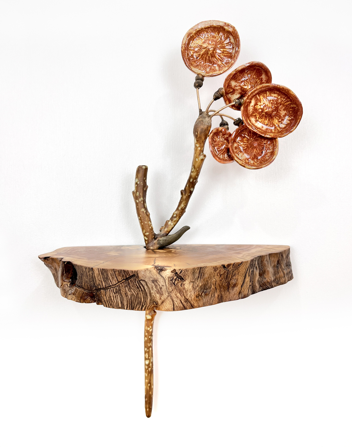 Detailed ceramic wall sculpture depicting the cellular structure of a Shepherd's Purse Fruit as seen through a micrograph, with an emphasis on organic forms, intricate patterns and textures. 