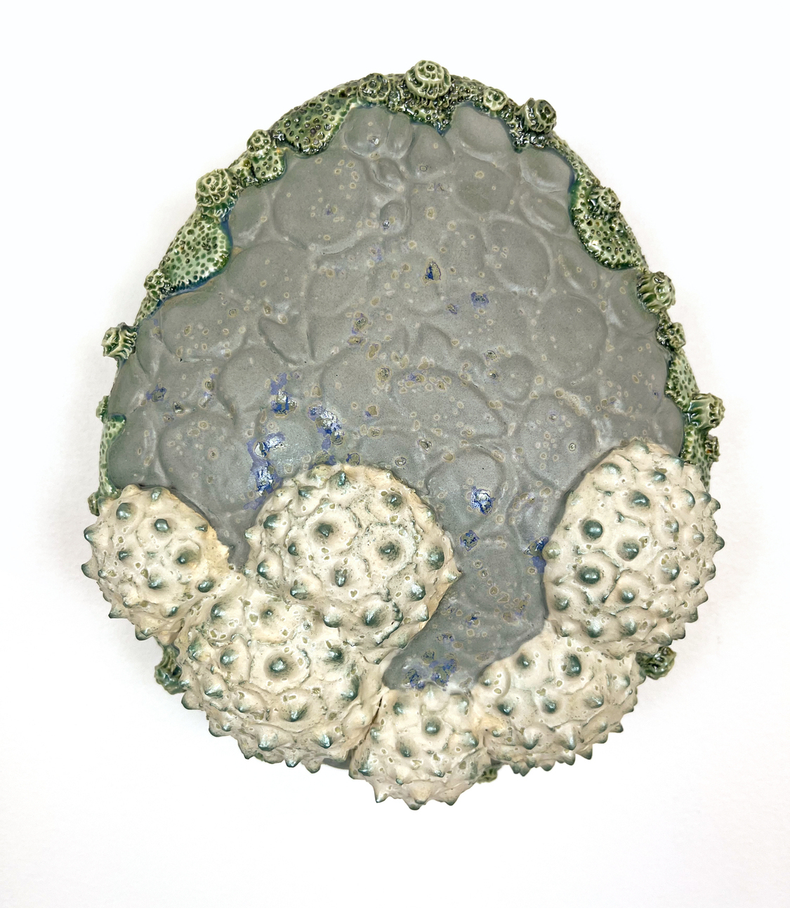 Detailed ceramic wall sculpture depicting the cellular structure of an algae specie as seen through a micrograph, with an emphasis on organic forms, intricate patterns and textures. 