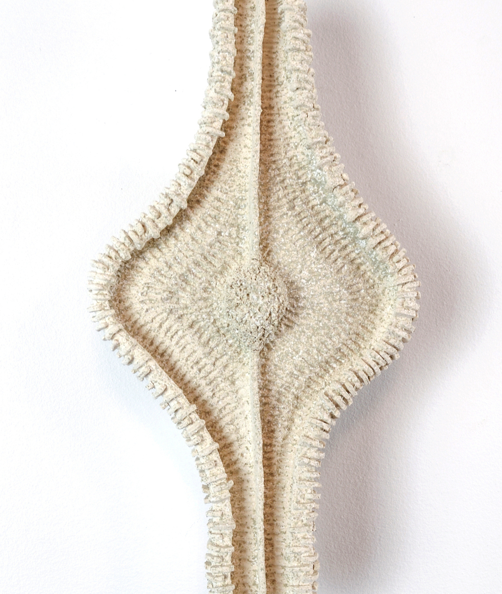 Detailed ceramic wall sculpture depicting the cellular structure of an Navicula Diatom as seen through a micrograph, with an emphasis on organic forms, intricate patterns and textures. 
