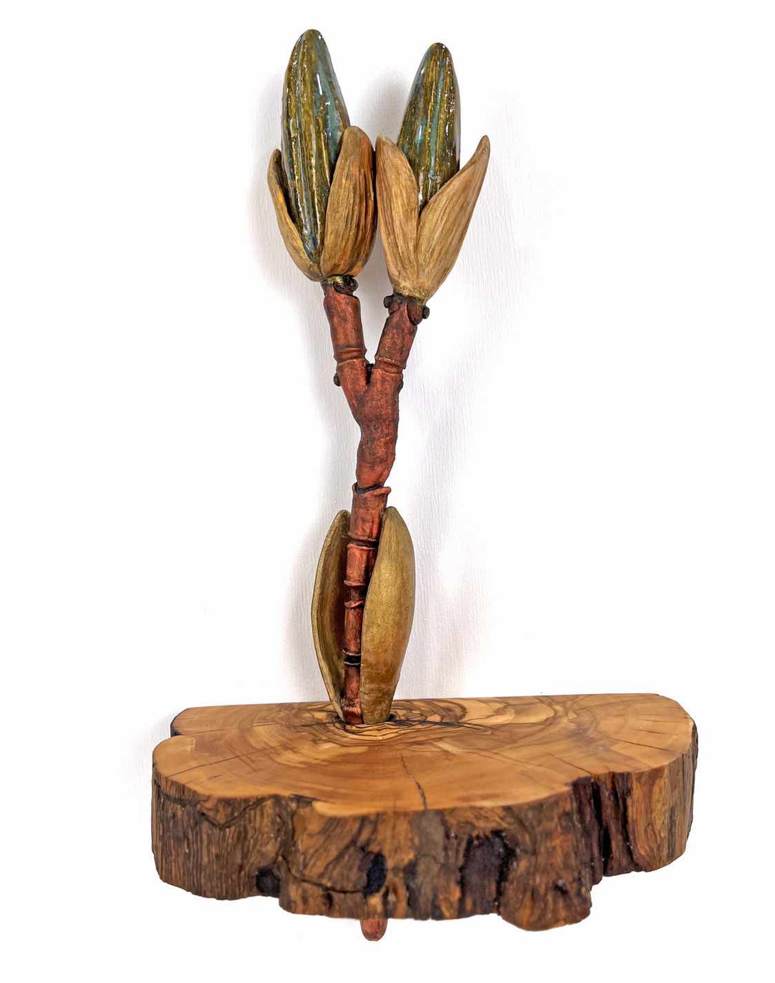 Detailed ceramic wall sculpture depicting the cellular structure of a Squash Root as seen through a micrograph, with an emphasis on organic forms, intricate patterns and textures. 