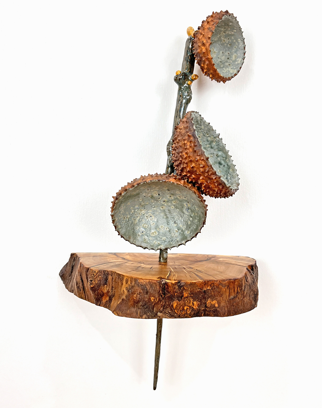 Detailed ceramic wall sculpture depicting the cellular structure of a Black Eyed Susan as seen through a micrograph, with an emphasis on organic forms, intricate patterns and textures. 