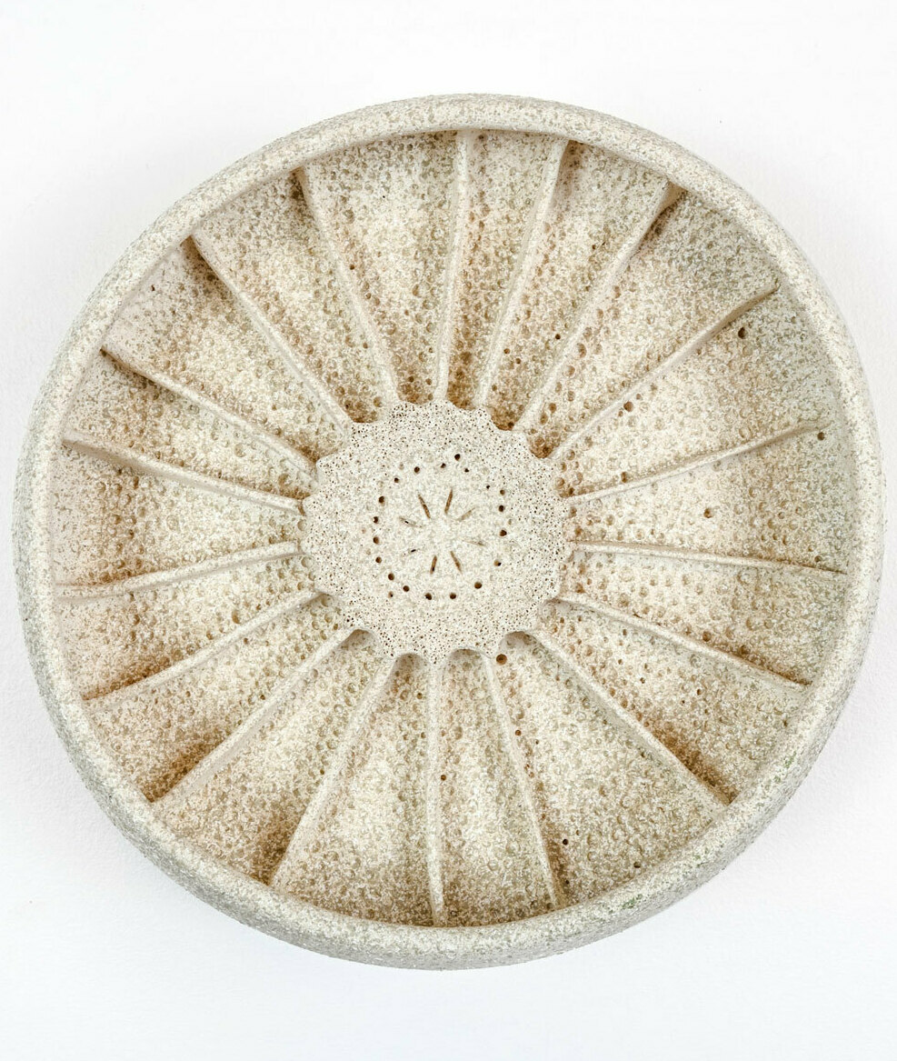 Detailed ceramic wall sculpture depicting the cellular structure of an udentified species of Diatom as seen through a micrograph, with an emphasis on organic forms, intricate patterns and textures. 
