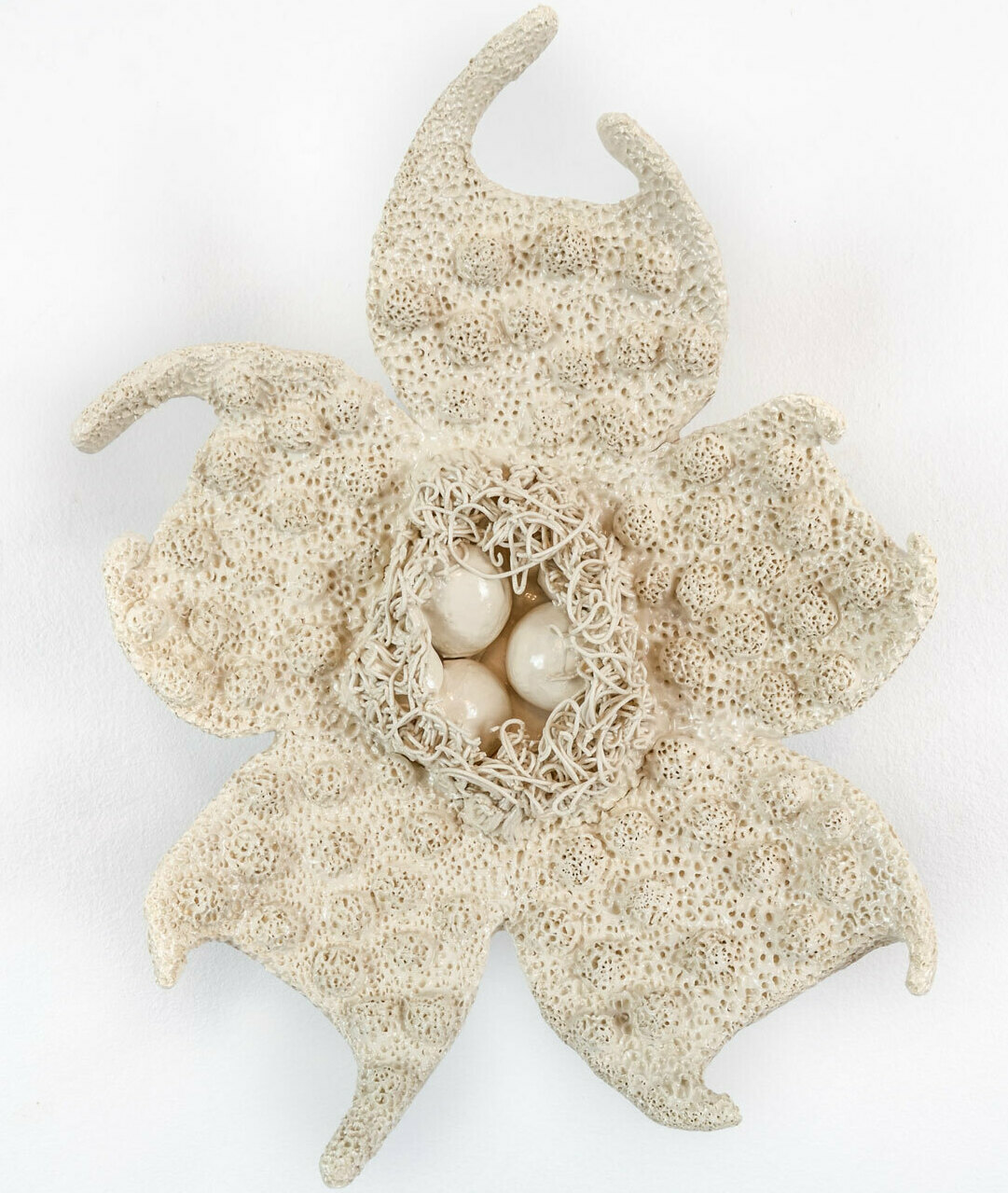 Detailed ceramic wall sculpture depicting the cellular structure of an Euphorbia Flower as seen through a micrograph, with an emphasis on organic forms, intricate patterns and textures. 